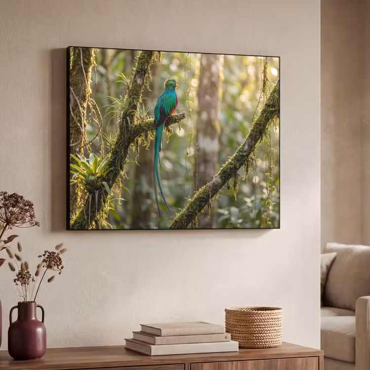 Quetzal - Jungle - Natuur - Groen Textielframe zwart klein -sfeer3
