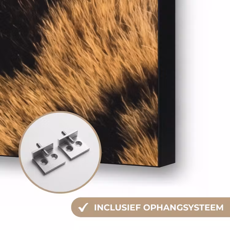 Realistisch - Tijgervacht - Zwart Textielframe zwart klein -USP_ophangsysteemNL