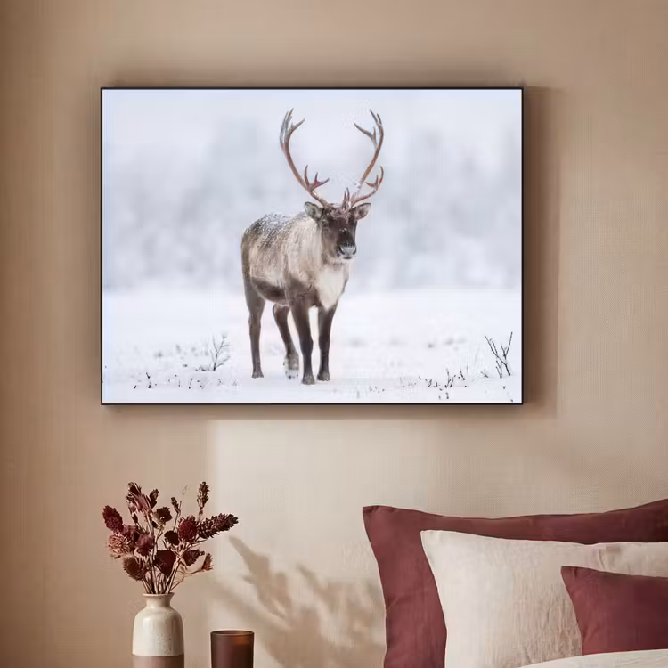 Rendier - Gewei - Toendra - Sneeuw - Wild Textielframe zwart klein -sfeer1