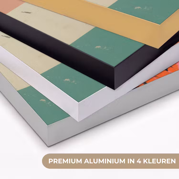 Retro - Vrouw - Kopje - Vlinders Textielframe zwart klein -USP_kleurenNL