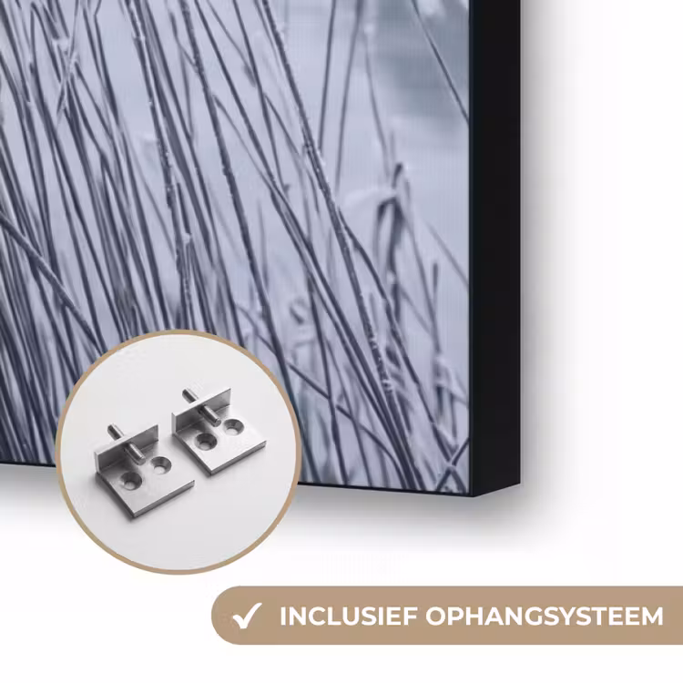 Riet - Bevroren - Winter - Natuur Textielframe zwart klein -USP_ophangsysteemNL