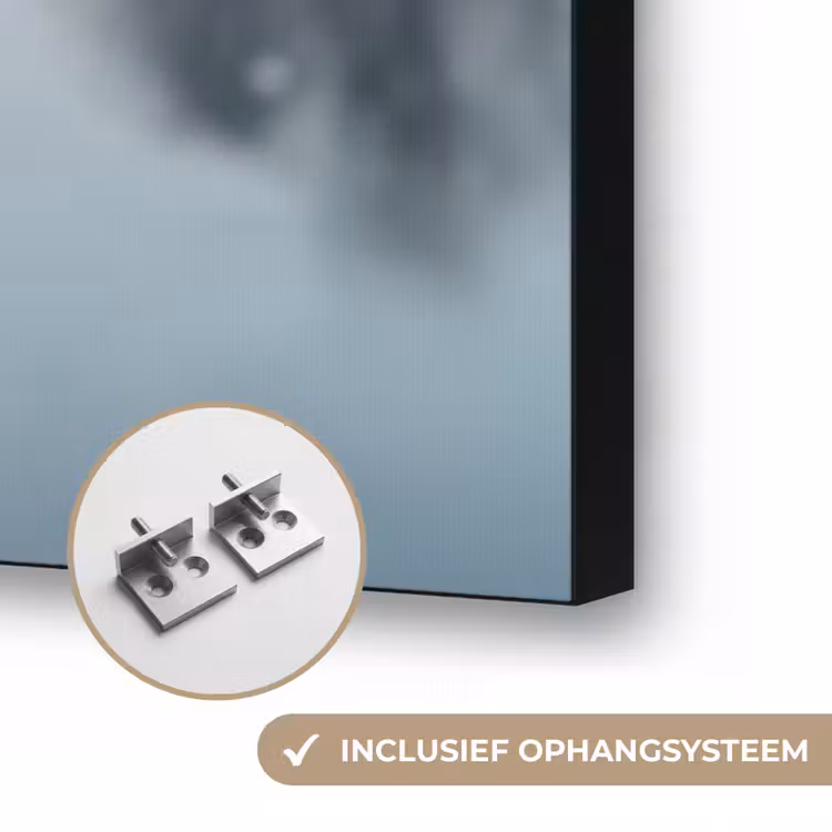 Riet - Gras - Natuur - Winter - Meer Textielframe zwart klein -USP_ophangsysteemNL