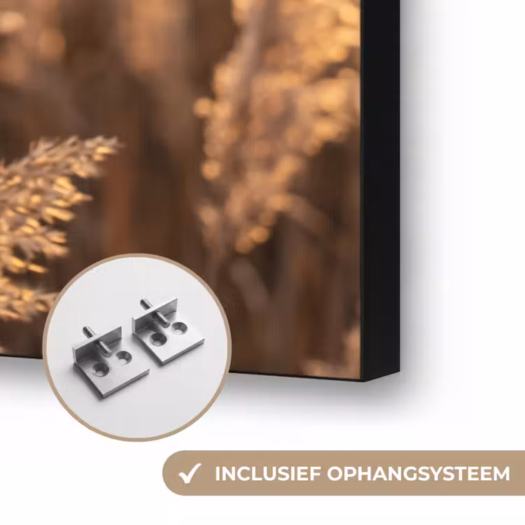 Rietpluimen - Gras - Zonsondergang - Goud - Serene Textielframe zwart klein -USP_ophangsysteemNL