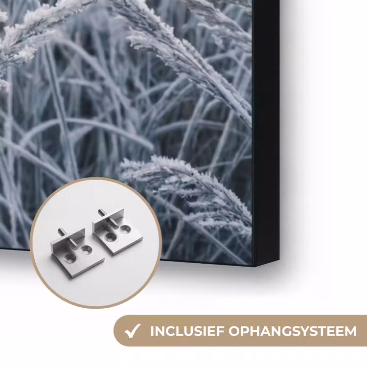 Rijp - Gras - Kristallen - Winter - Minimalistisch Textielframe zwart klein -USP_ophangsysteemNL