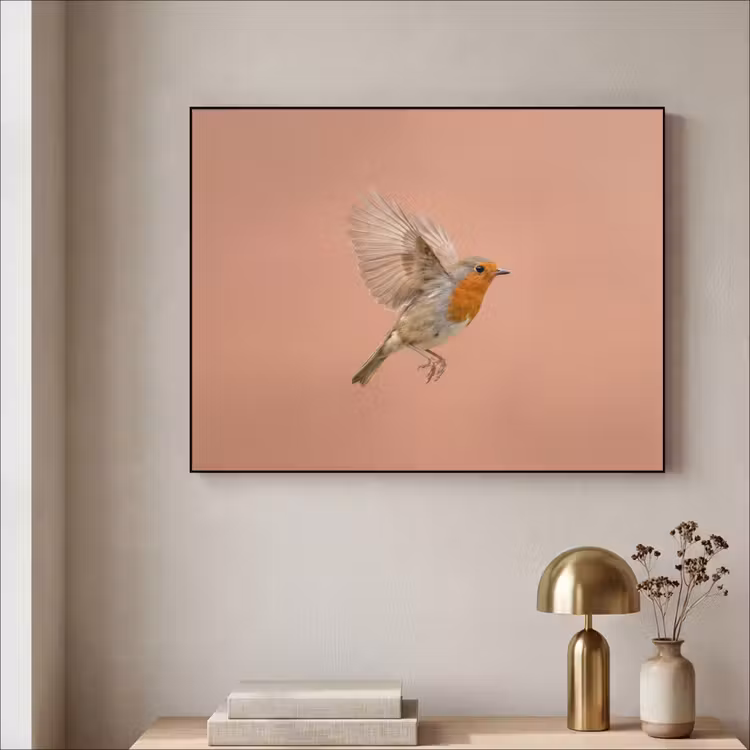 Roodborst - Natuur - Roze Textielframe zwart klein -sfeer2