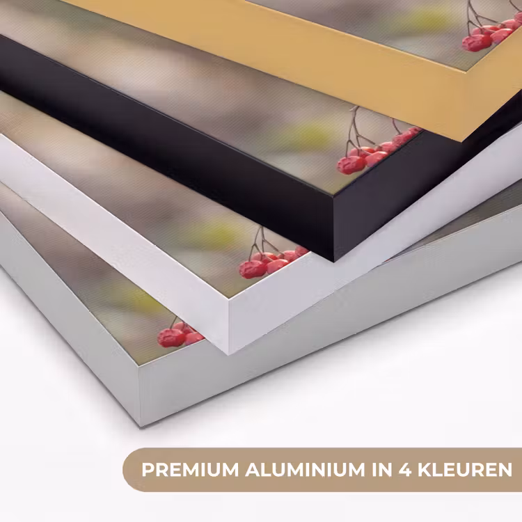Roodborst - Tak - Bessen - Natuur Textielframe zwart klein -USP_kleurenNL