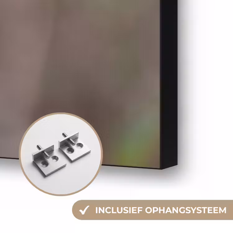 Roodborst - Tak - Bessen - Natuur Textielframe zwart klein -USP_ophangsysteemNL
