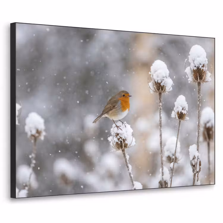 Roodborstje - Gedroogde bloem - Sneeuw - Winter - Vertederend Textielframe zwart klein -3d