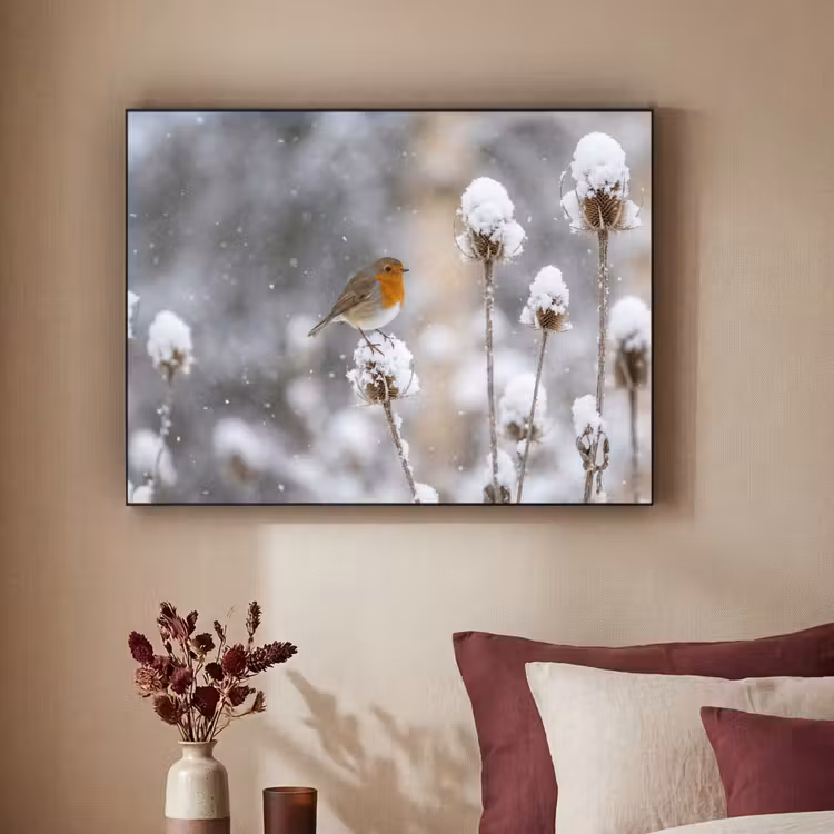 Roodborstje - Gedroogde bloem - Sneeuw - Winter - Vertederend Textielframe zwart klein -sfeer1