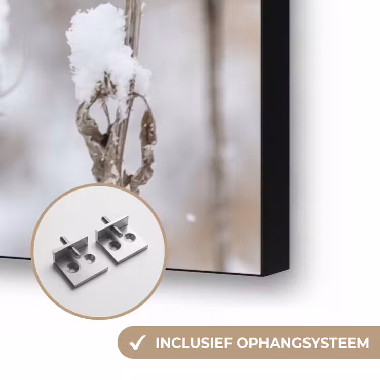 Roodborstje - Gedroogde bloem - Sneeuw - Winter - Vertederend Textielframe zwart klein -USP_ophangsysteemNL