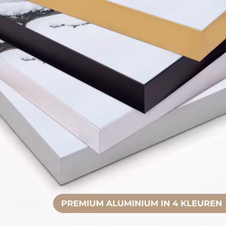 Roodborstje - Tak - Sneeuw - Winter - Levendig Textielframe zwart klein -USP_kleurenNL