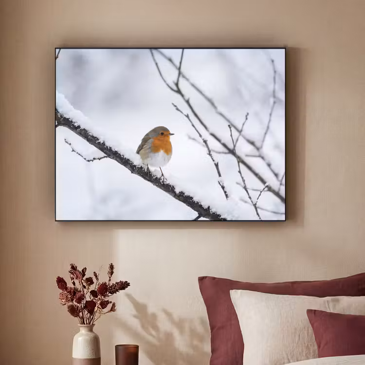 Roodborstje - Tak - Sneeuw - Winter - Levendig Textielframe zwart klein -sfeer1