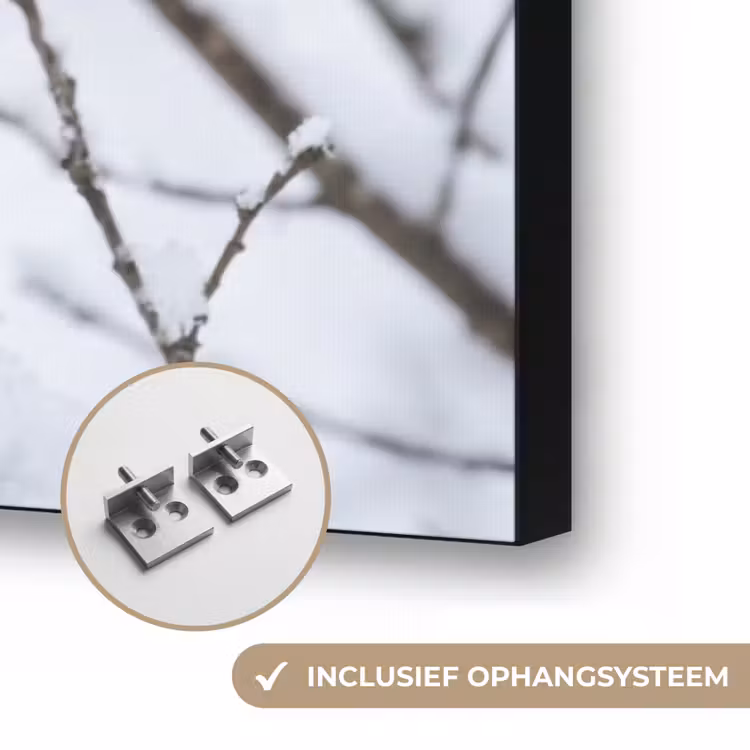 Roodborstje - Tak - Sneeuw - Winter - Levendig Textielframe zwart klein -USP_ophangsysteemNL