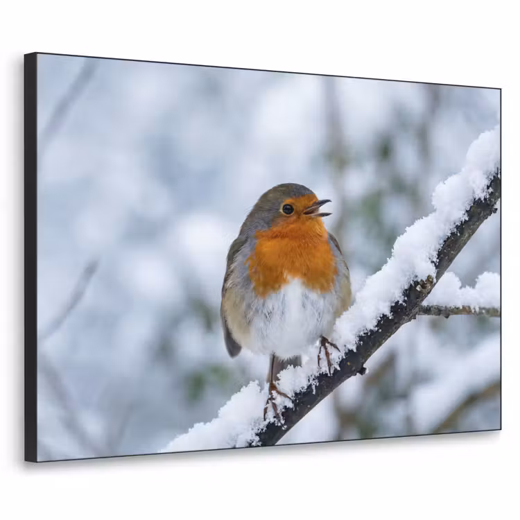 Roodborstje - Tak - Sneeuw - Winter - Levendig Textielframe zwart klein -3d