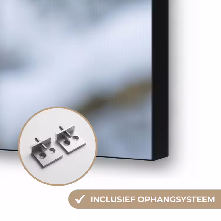 Roodborstje - Tak - Sneeuw - Winter - Levendig Textielframe zwart klein -USP_ophangsysteemNL