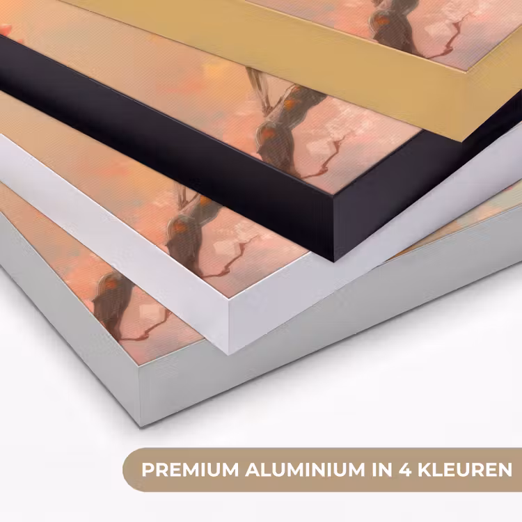 Roodborstjes - Sierlijk - Bloesemtak Textielframe zwart klein -USP_kleurenNL