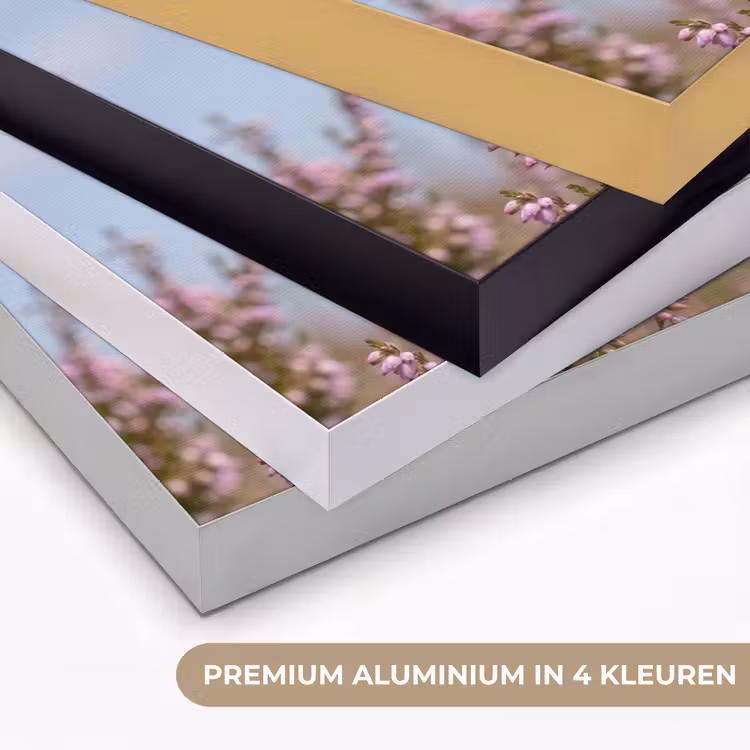 Roodborsttapuit - Heide - Paars - Natuur - Sfeervol Textielframe zwart klein -USP_kleurenNL