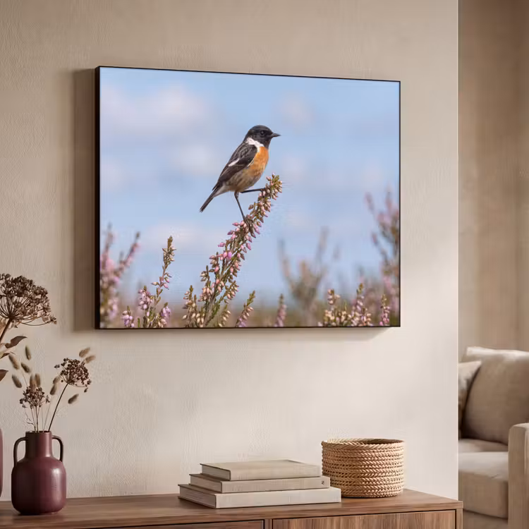 Roodborsttapuit - Heide - Paars - Natuur - Sfeervol Textielframe zwart klein -sfeer3