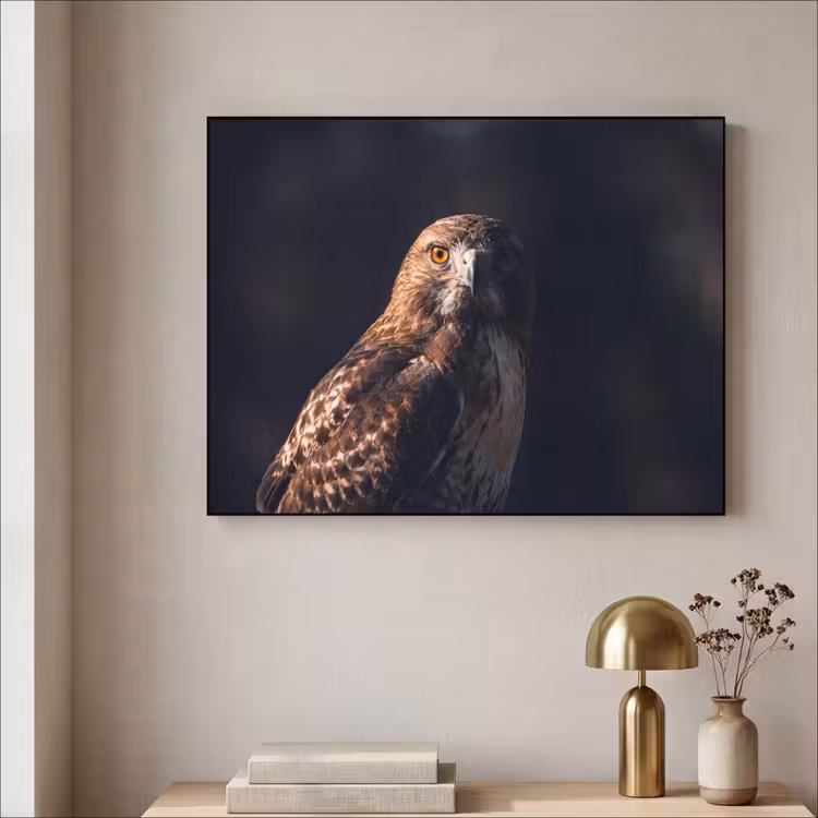Roofvogel - Buizerd - Bruin Textielframe zwart klein -sfeer2