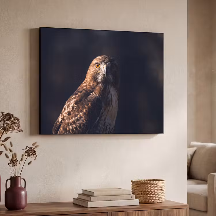Roofvogel - Buizerd - Bruin Textielframe zwart klein -sfeer3