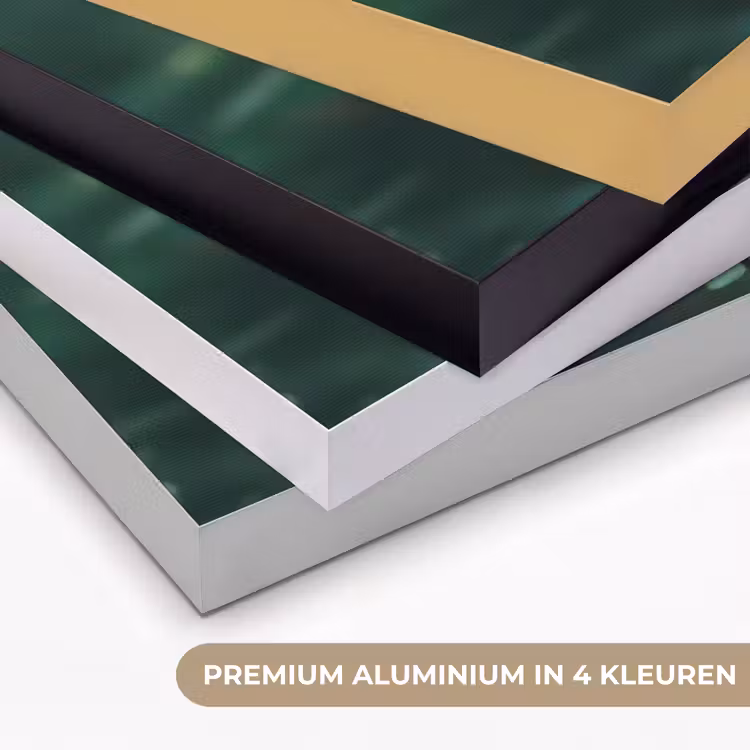 Roos - Bladeren - Dieprood Textielframe zwart klein -USP_kleurenNL