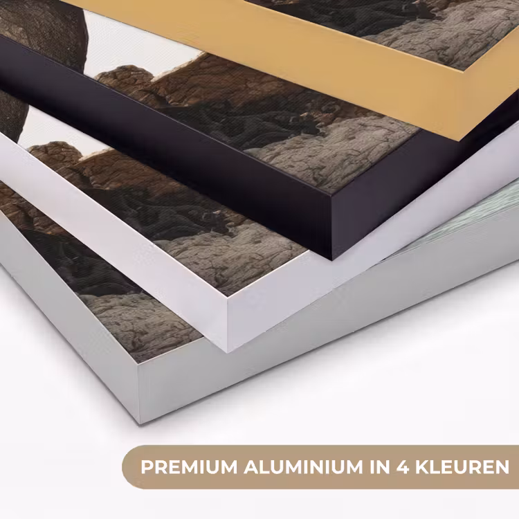 Rotsen - Zee - Boom - Groen Textielframe zwart klein -USP_kleurenNL