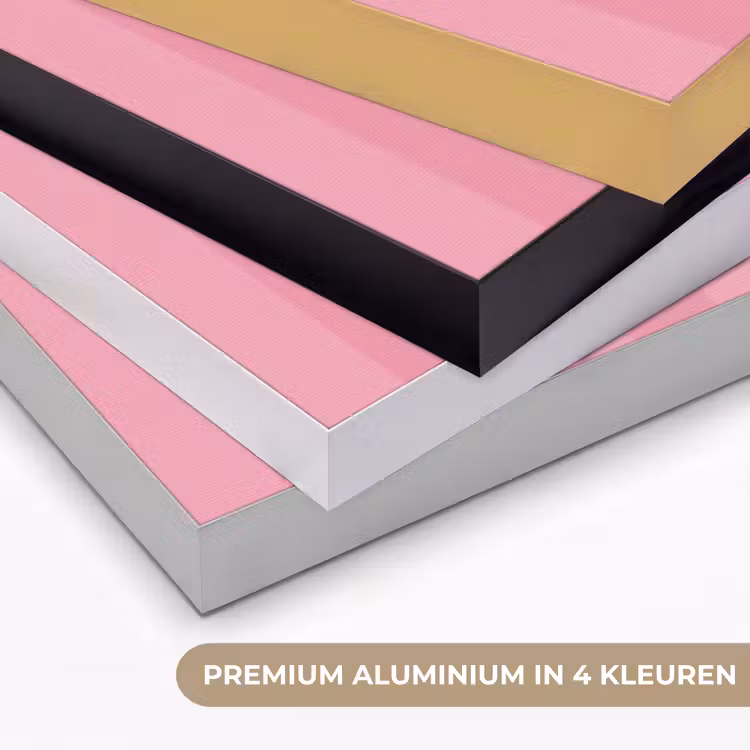 Roze - Gestreept - Belle Textielframe zwart klein -USP_kleurenNL