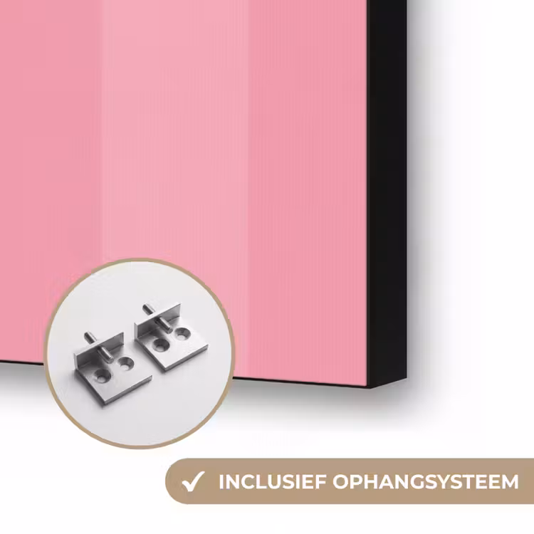 Roze - Gestreept - Belle Textielframe zwart klein -USP_ophangsysteemNL