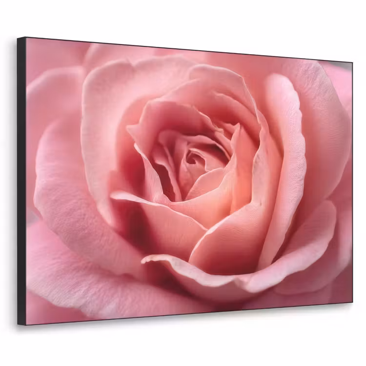 Roze - Roos - Romantisch Textielframe - compleet frame klein -3d