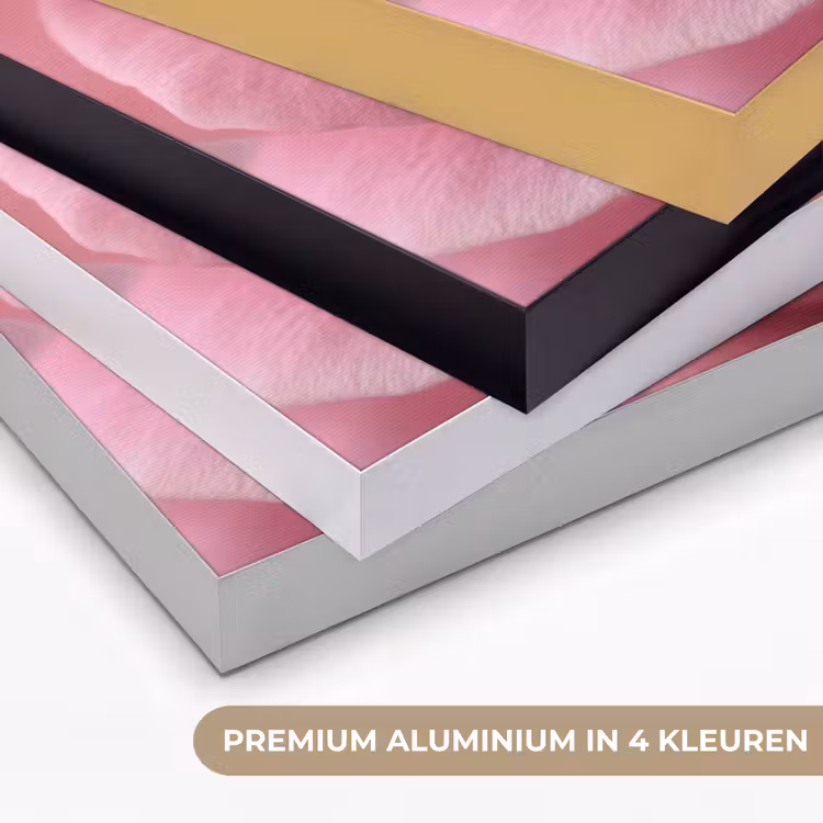 Roze - Roos - Romantisch Textielframe zwart klein -USP_kleurenNL
