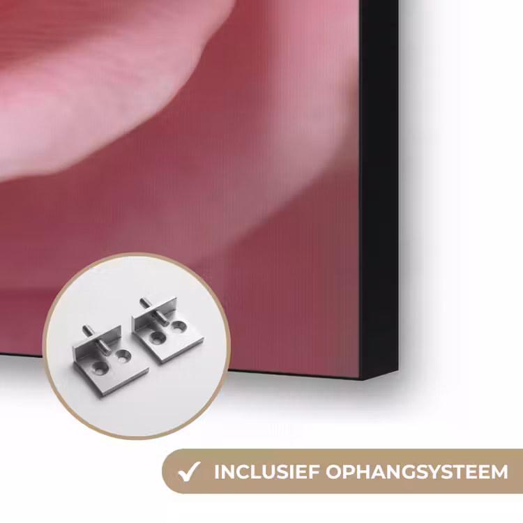 Roze - Roos - Romantisch Textielframe zwart klein -USP_ophangsysteemNL