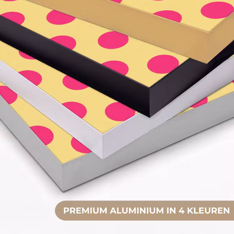 Roze - Stippen - Geel Textielframe zwart klein 947 -USP_kleurenNL