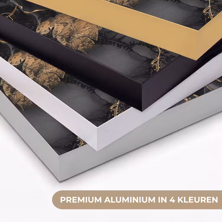 Rozen - Zwart - Bloemen - Goud Textielframe zwart klein -USP_kleurenNL