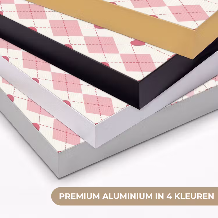 Ruiten - Klassiek - Roze - Wit Textielframe zwart klein 947 -USP_kleurenNL