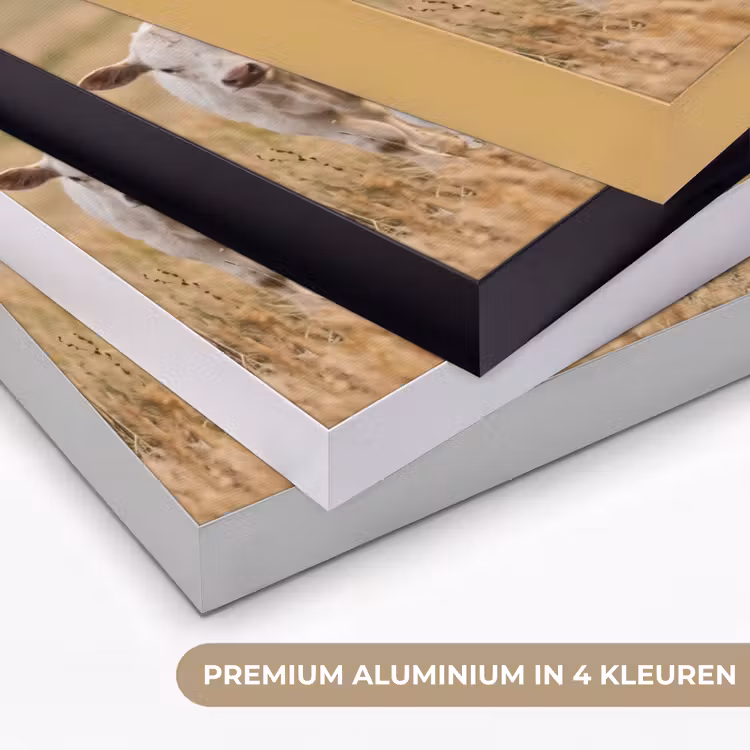 Runderen - Kudde - Landschap - Weide - Rustig Textielframe zwart klein -USP_kleurenNL