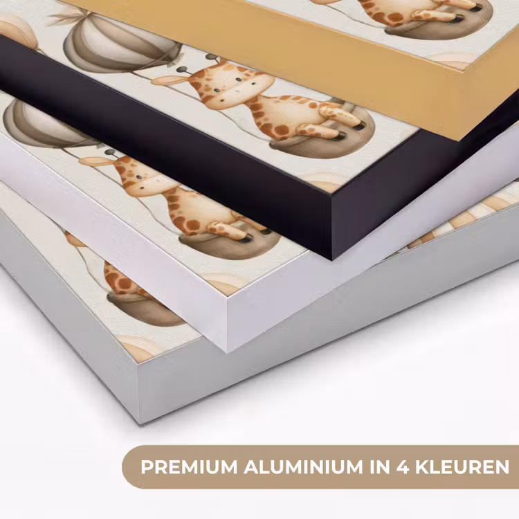 Safari - Luchtballonen - Taupe Textielframe zwart klein 947 -USP_kleurenNL