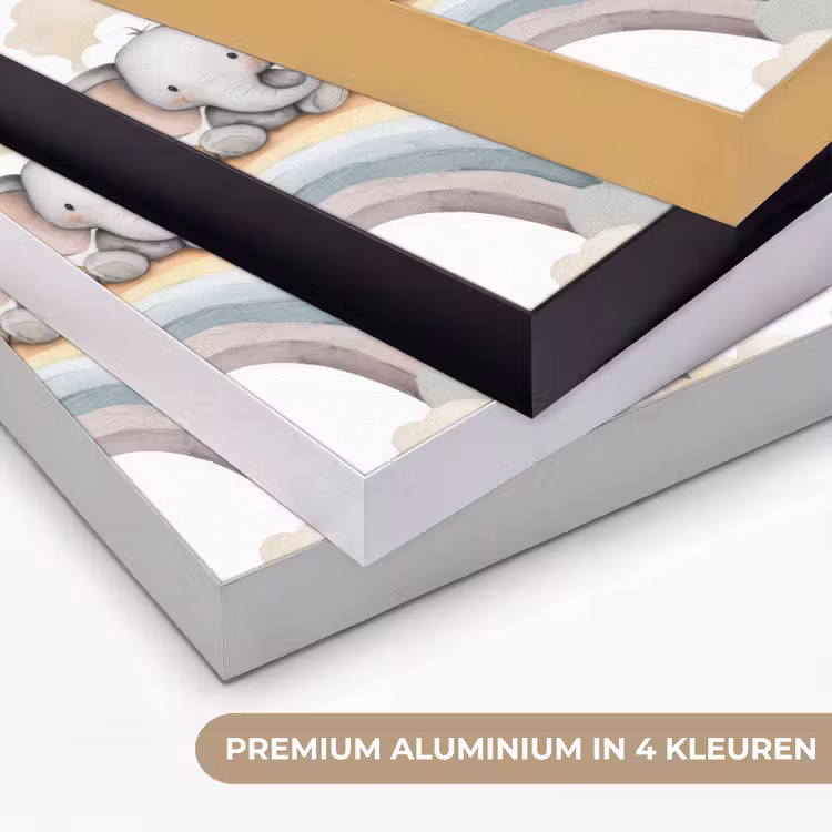 Safari - Regenboog - Kleurrijk Textielframe zwart klein 947 -USP_kleurenNL
