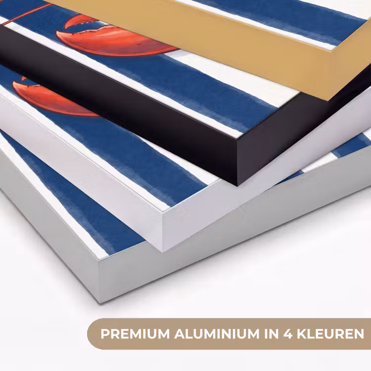 Schaaldier - Kreeft - Marine - Illustratie - Rood Textielframe zwart klein -USP_kleurenNL