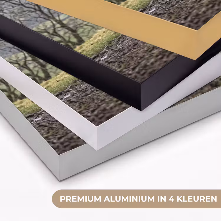 Schapen - Rij - Weide - Dieren - Platteland Textielframe zwart klein -USP_kleurenNL