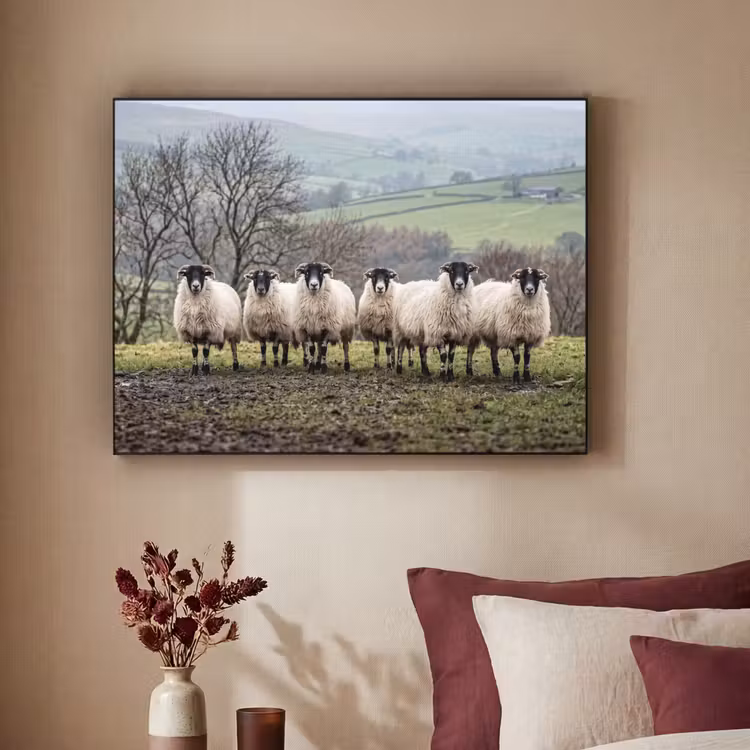 Schapen - Rij - Weide - Dieren - Platteland Textielframe zwart klein -sfeer1