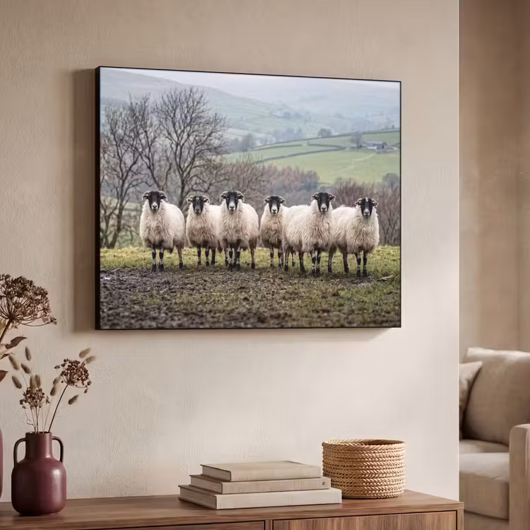 Schapen - Rij - Weide - Dieren - Platteland Textielframe zwart klein -sfeer3