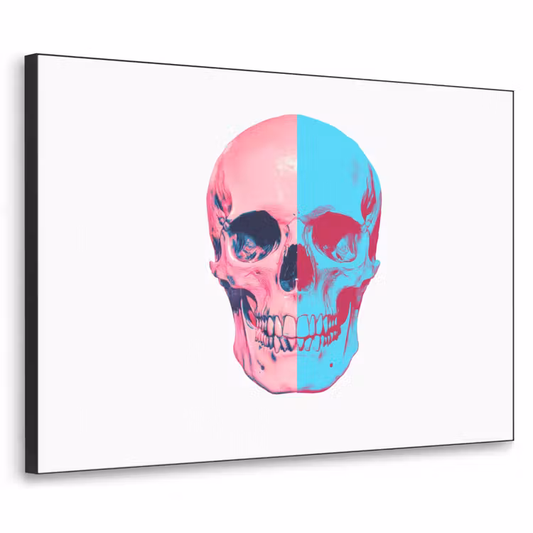 Schedel - Grafisch - Roze - Verdeeld Textielframe zwart klein -3d