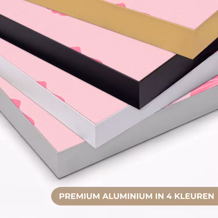Schelp - Patroon - Zee - Modern - Roze Textielframe zwart klein -USP_kleurenNL