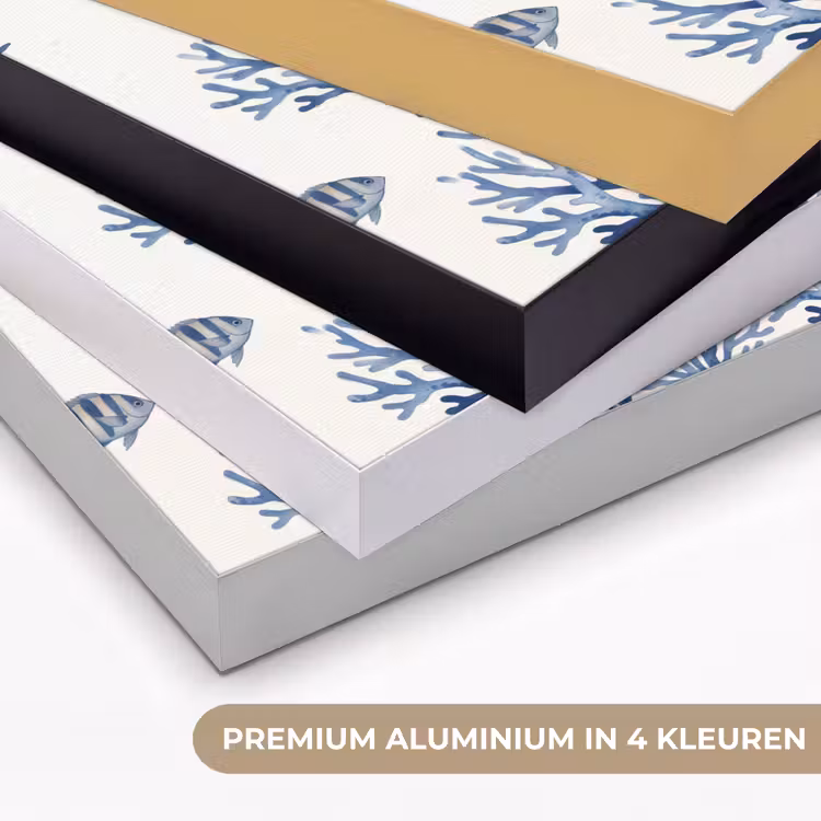 Schelp - Spiraal - Zeeleven - Aquarel - Blauw Textielframe zwart klein -USP_kleurenNL