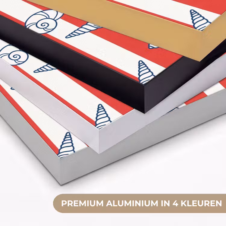 Schelp - Zeedieren - Zomer - Illustratie - Rood - Blauw Textielframe zwart klein -USP_kleurenNL