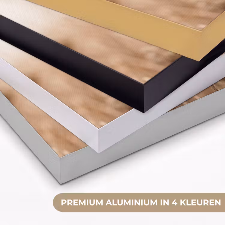 Schermbloem - Droogbloem - Winter - Beige - Minimalistisch Textielframe zwart klein -USP_kleurenNL