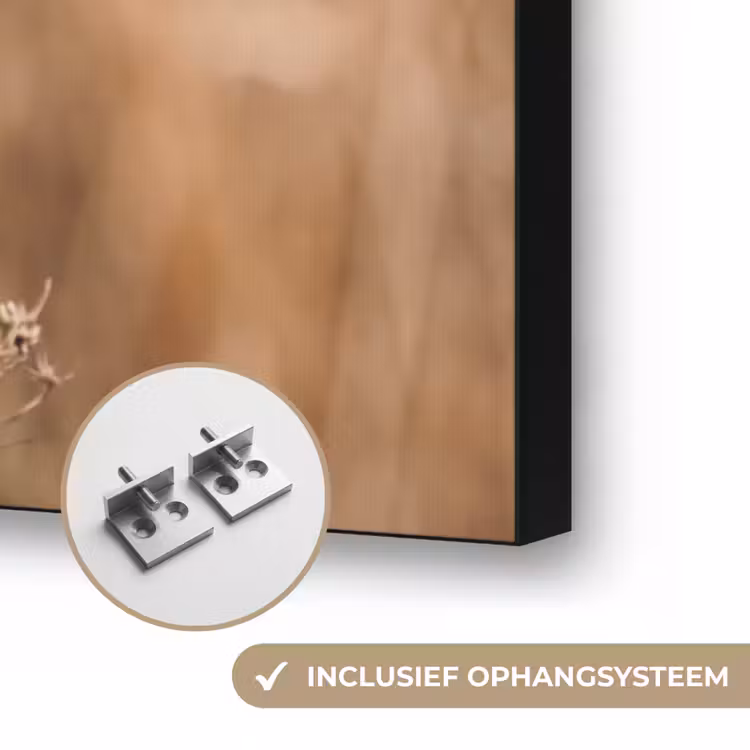 Schermbloem - Droogbloem - Winter - Beige - Minimalistisch Textielframe zwart klein -USP_ophangsysteemNL