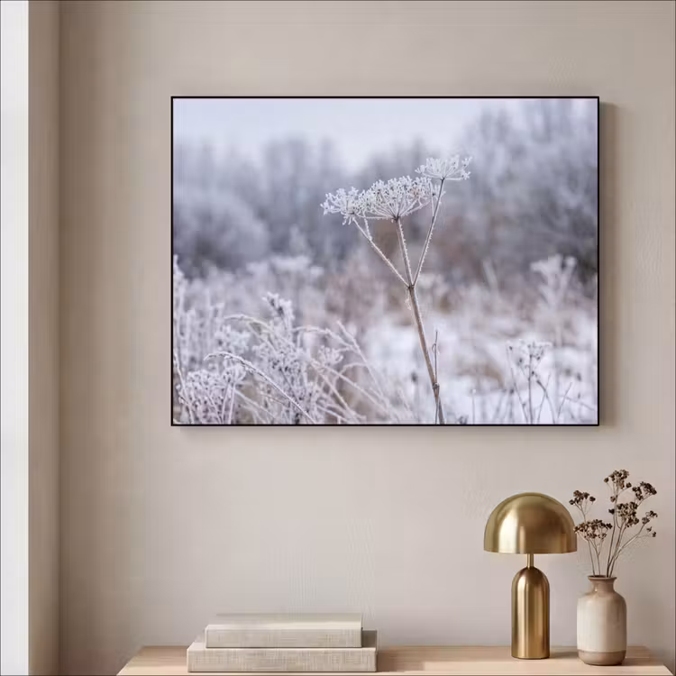 Schermbloem - Rijp - Kristallen - Winter - Delicaat Textielframe zwart klein -sfeer2