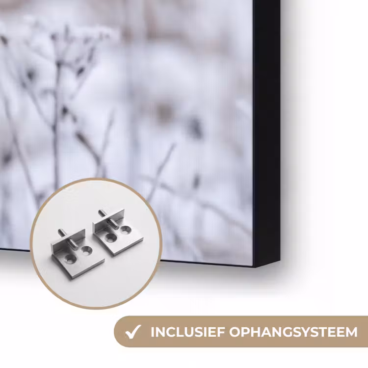 Schermbloem - Rijp - Kristallen - Winter - Delicaat Textielframe zwart klein -USP_ophangsysteemNL