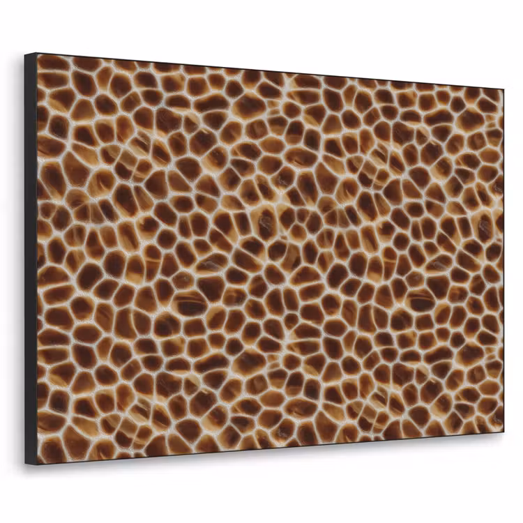 Schildpad - Bruin - Patroon Textielframe zwart klein 947 -3d
